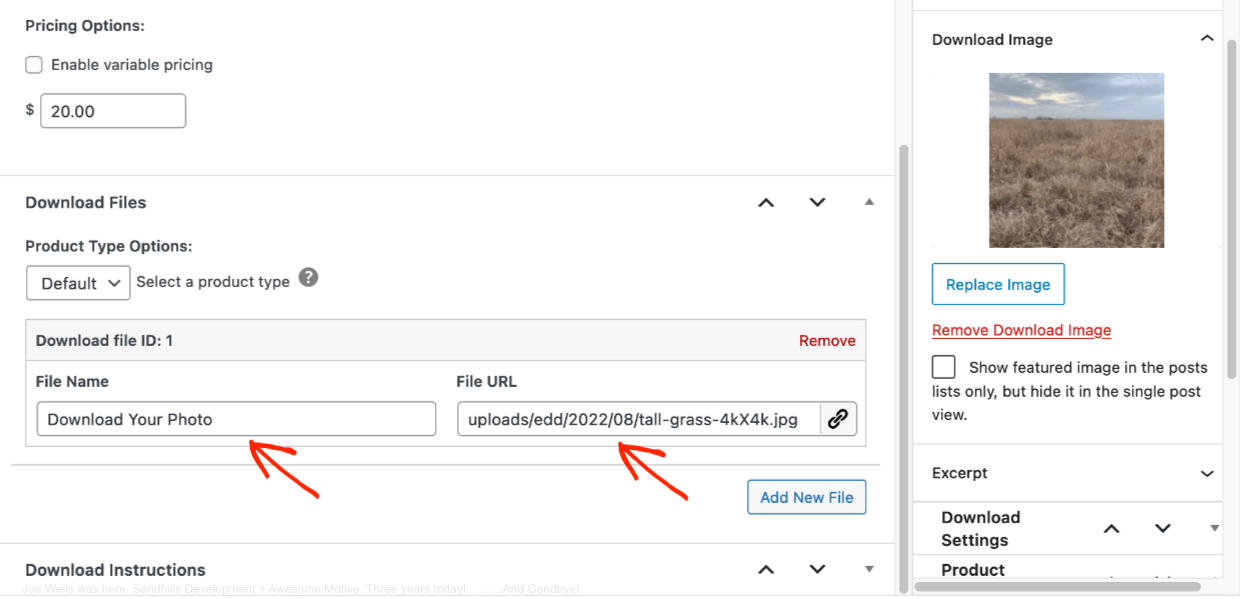 Screenshot: Selling Photos with EDD: Download Files Settings