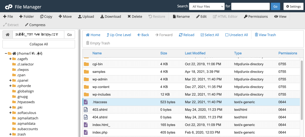 Acessing FTP to protect digital products with htaccess.