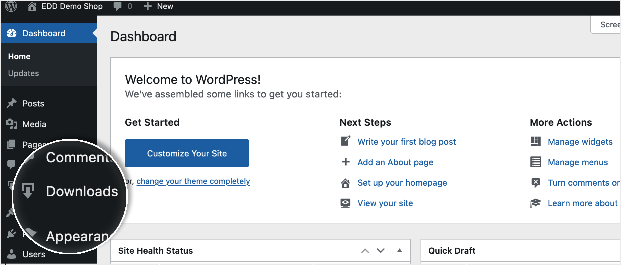 Screenshot: new Downloads menu item