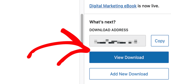 The option to preview your download in WordPress.